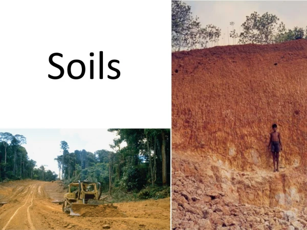 Soils