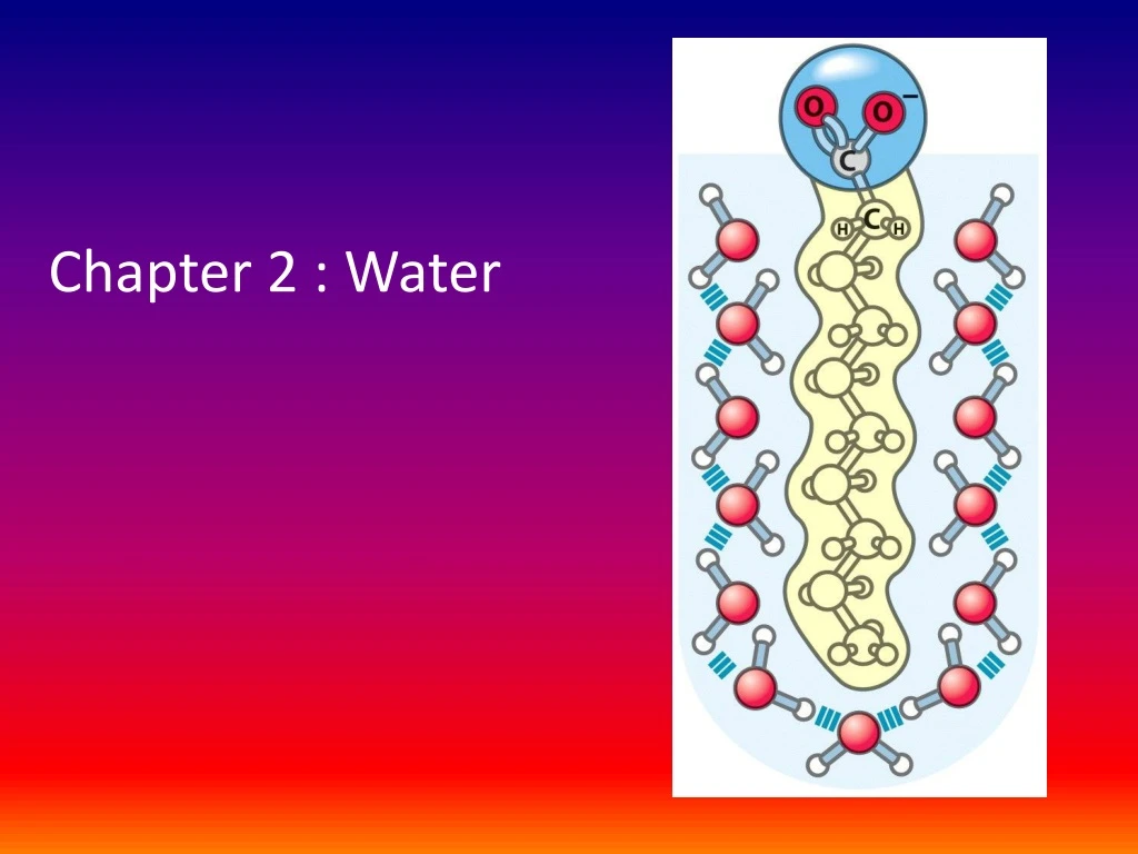 chapter 2 water