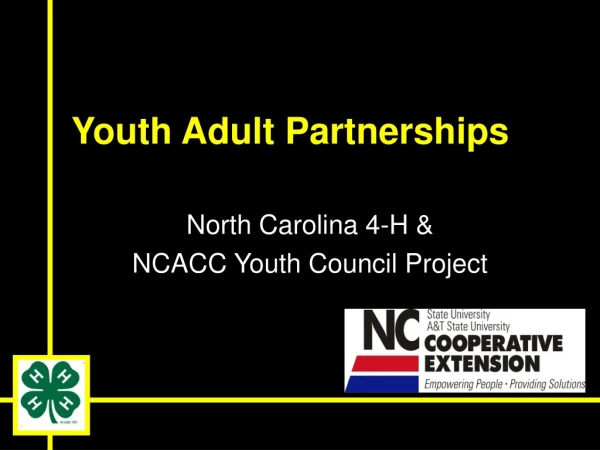 Youth Adult Partnerships
