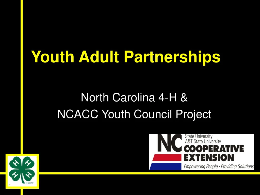 youth adult partnerships