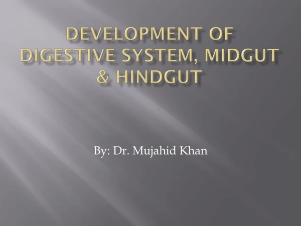 Development of digestive system, midgut &amp; hindgut
