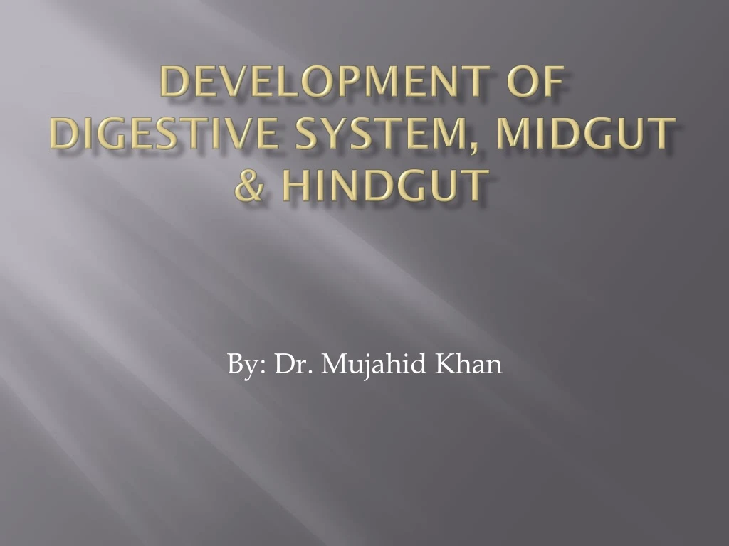 development of digestive system midgut hindgut
