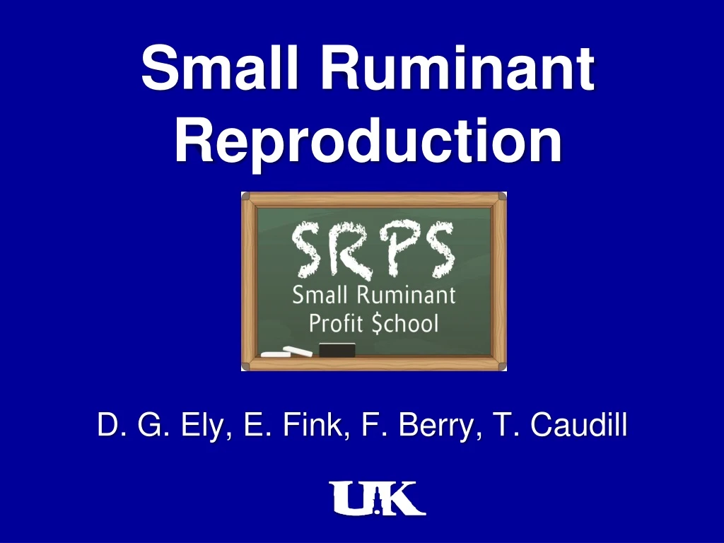 small ruminant reproduction