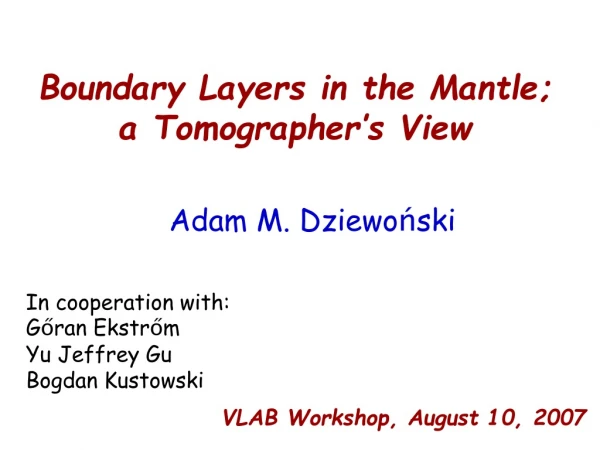 Boundary Layers in the Mantle; a Tomographer’s View