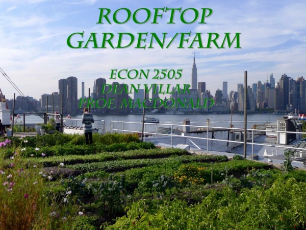 Rooftop Garden/Farm