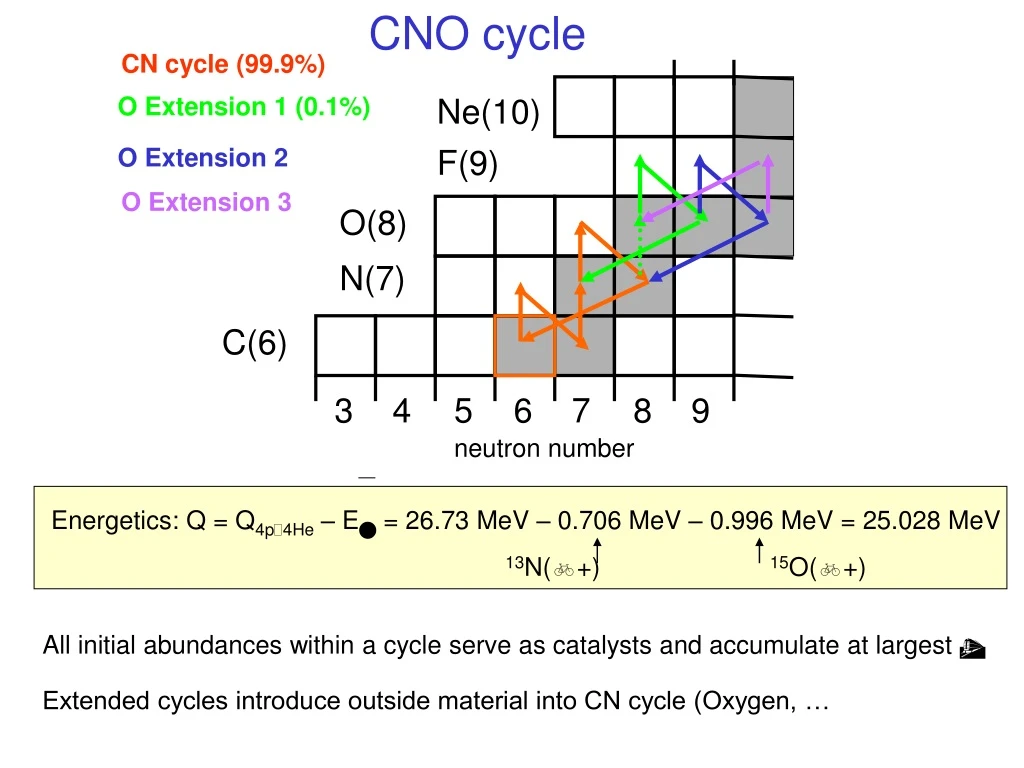 cno cycle