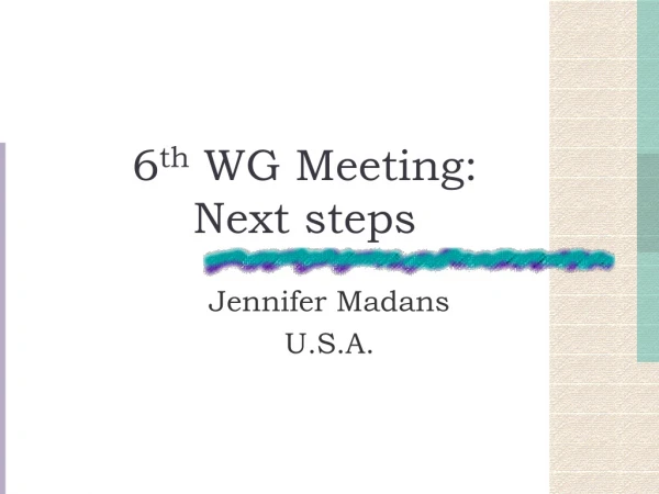 6 th  WG Meeting:  Next steps
