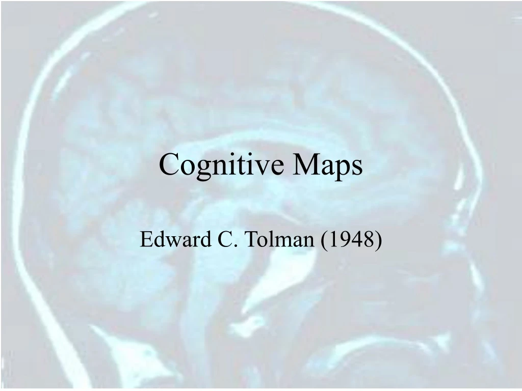 cognitive maps