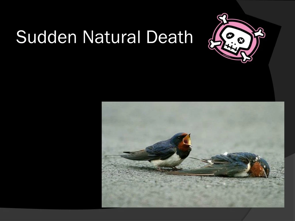 sudden natural death