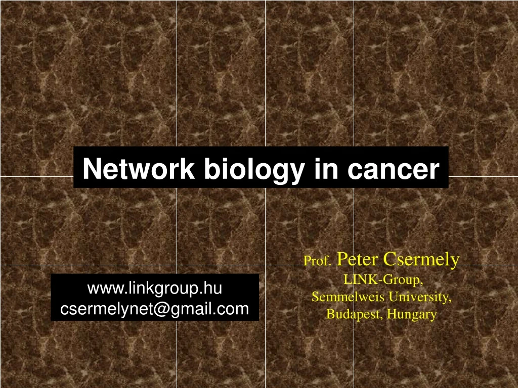 network biology in cancer