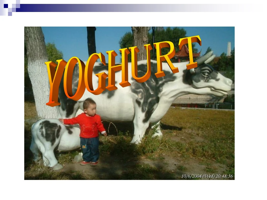 yoghurt