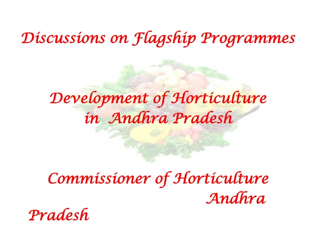 discussions on flagship programmes development