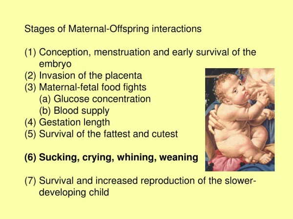 Stages of Maternal-Offspring interactions