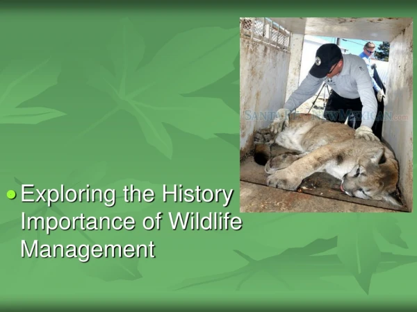 Exploring the History and Importance of Wildlife Management