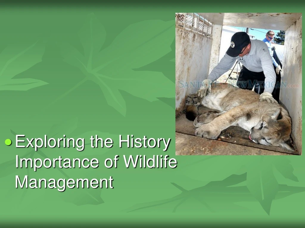 exploring the history and importance of wildlife management