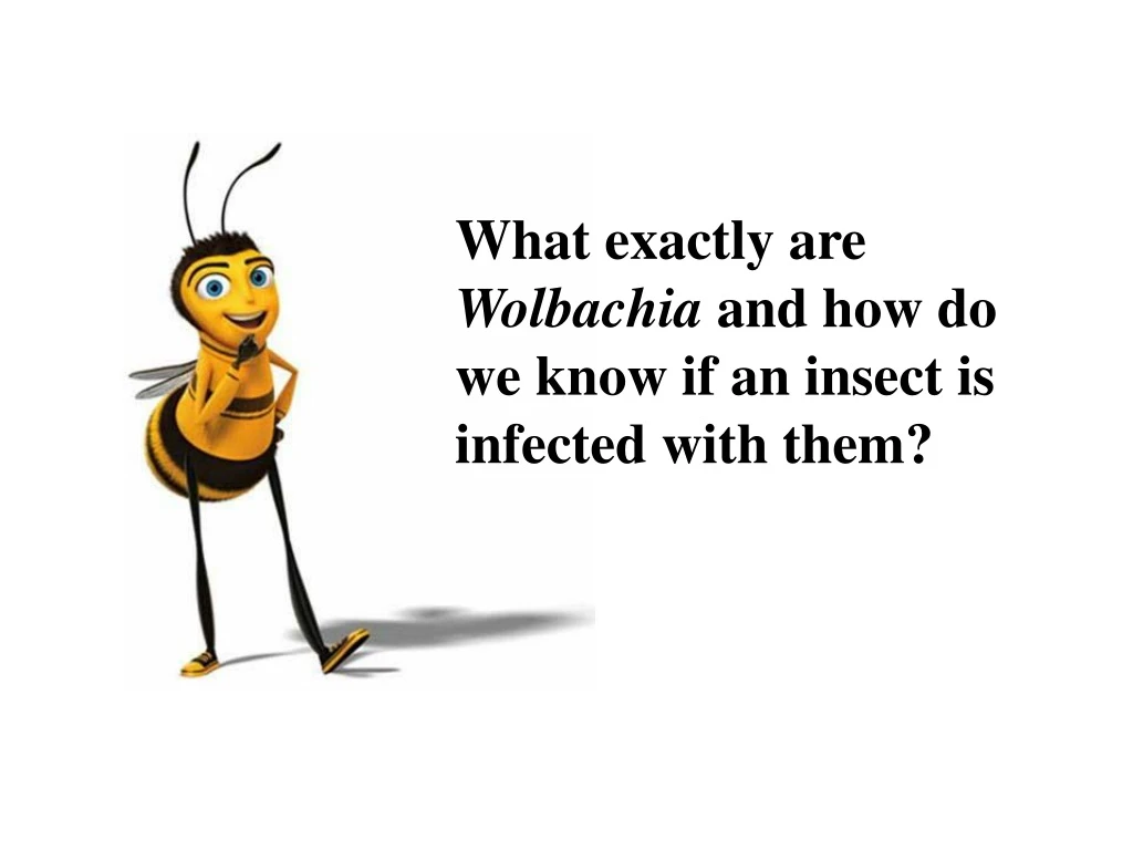 what exactly are wolbachia and how do we know