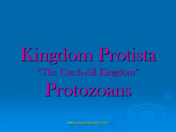 Kingdom  Protista “The Catch-All Kingdom”  Protozoans