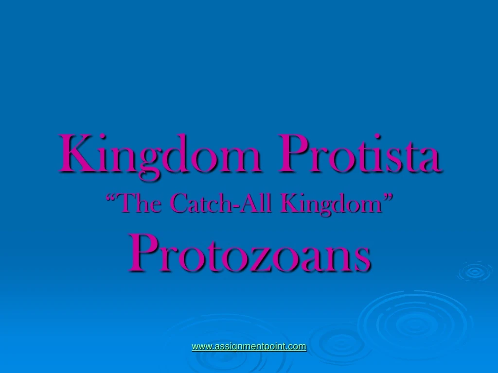 kingdom protista the catch all kingdom protozoans