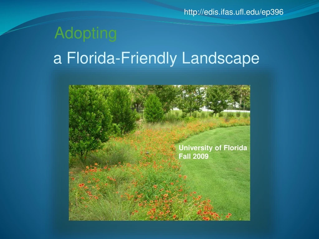 a florida friendly landscape