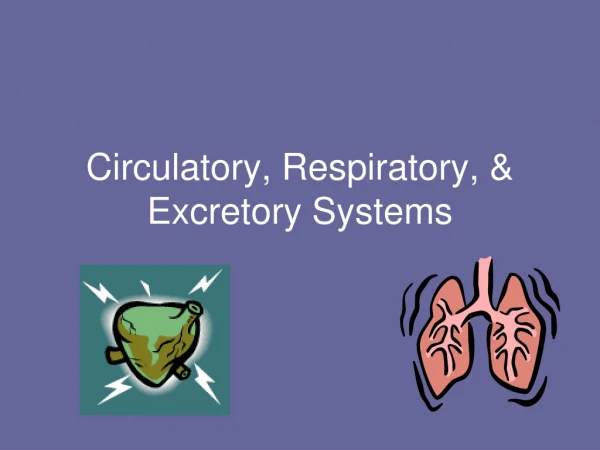 Circulatory, Respiratory, &amp; Excretory Systems