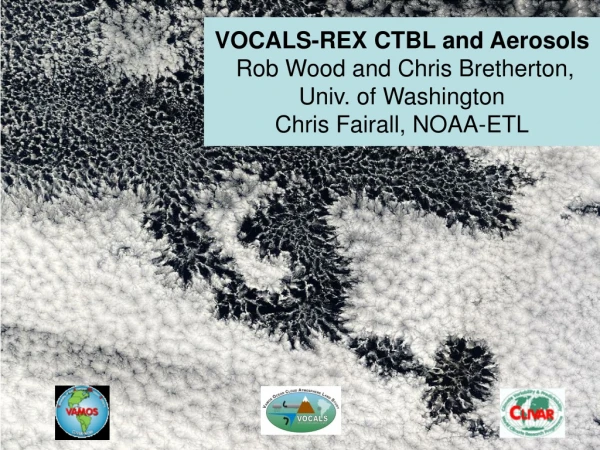 Current U.S. AGCM stratocumulus simulations