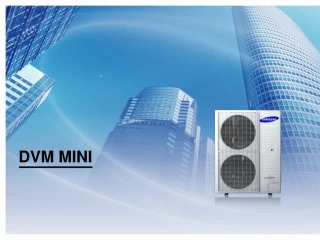 DVM MINI - slide 1