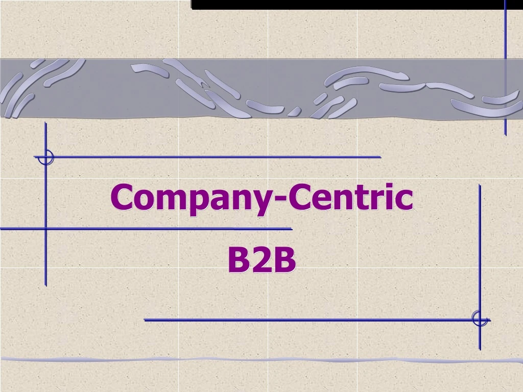 company centric b2b