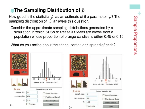 Sample Proportions