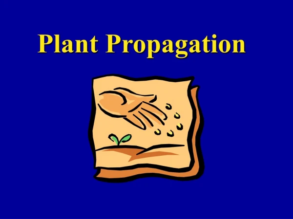 Plant Propagation