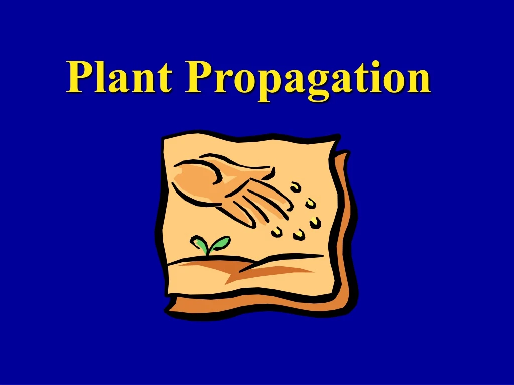 plant propagation