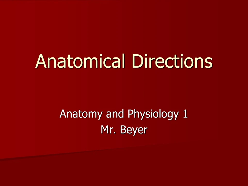 anatomical directions