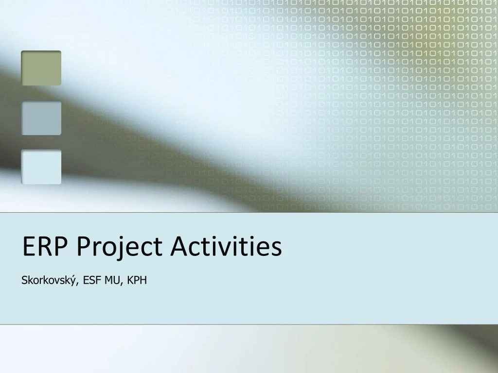 erp project activities