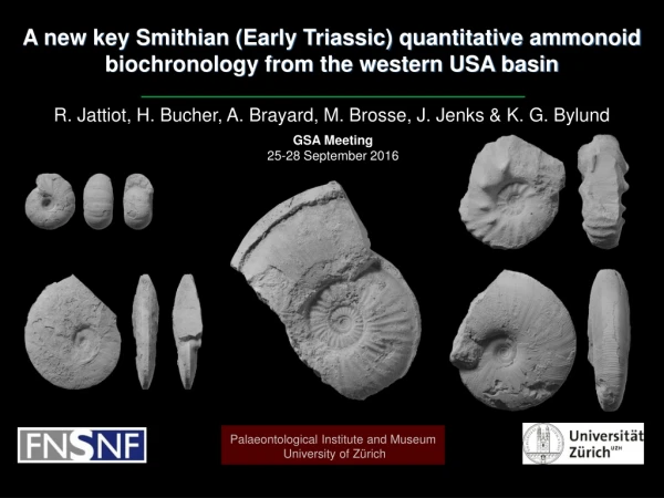 A new key Smithian (Early Triassic) quantitative ammonoid