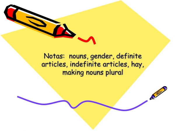 Notas :  nouns, gender, definite articles, indefinite articles, hay, making nouns plural