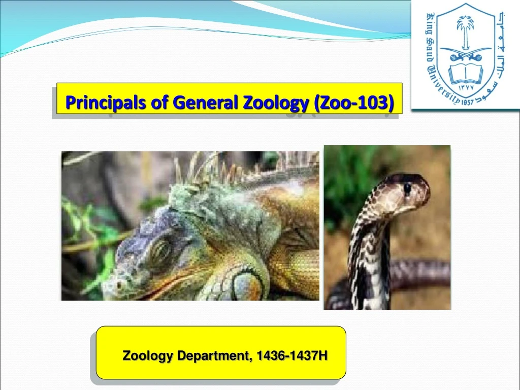 principals of general zoology zoo 103