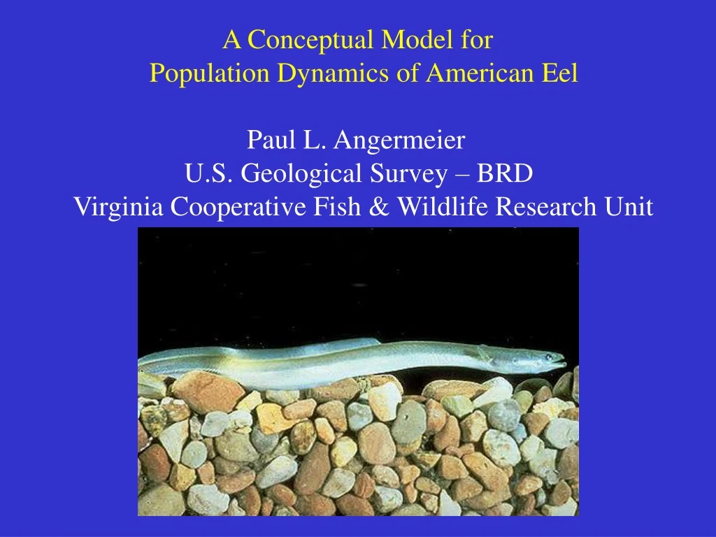 a conceptual model for population dynamics