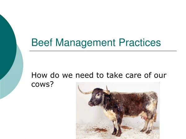 Beef Management Practices