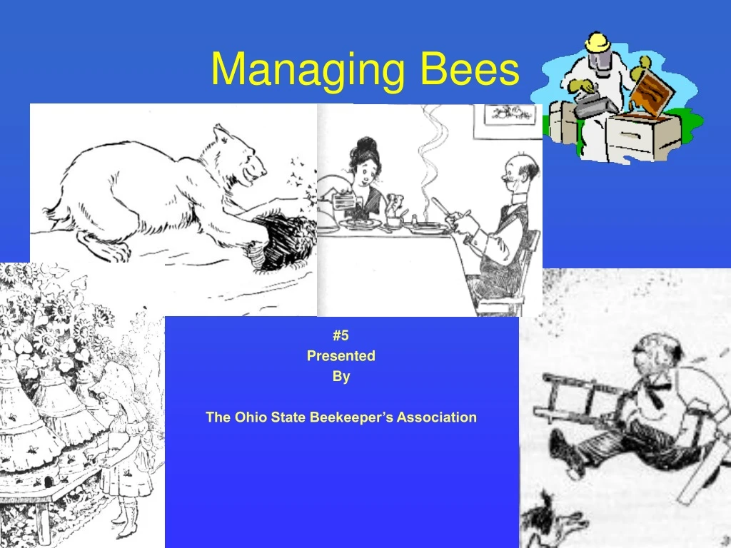 managing bees