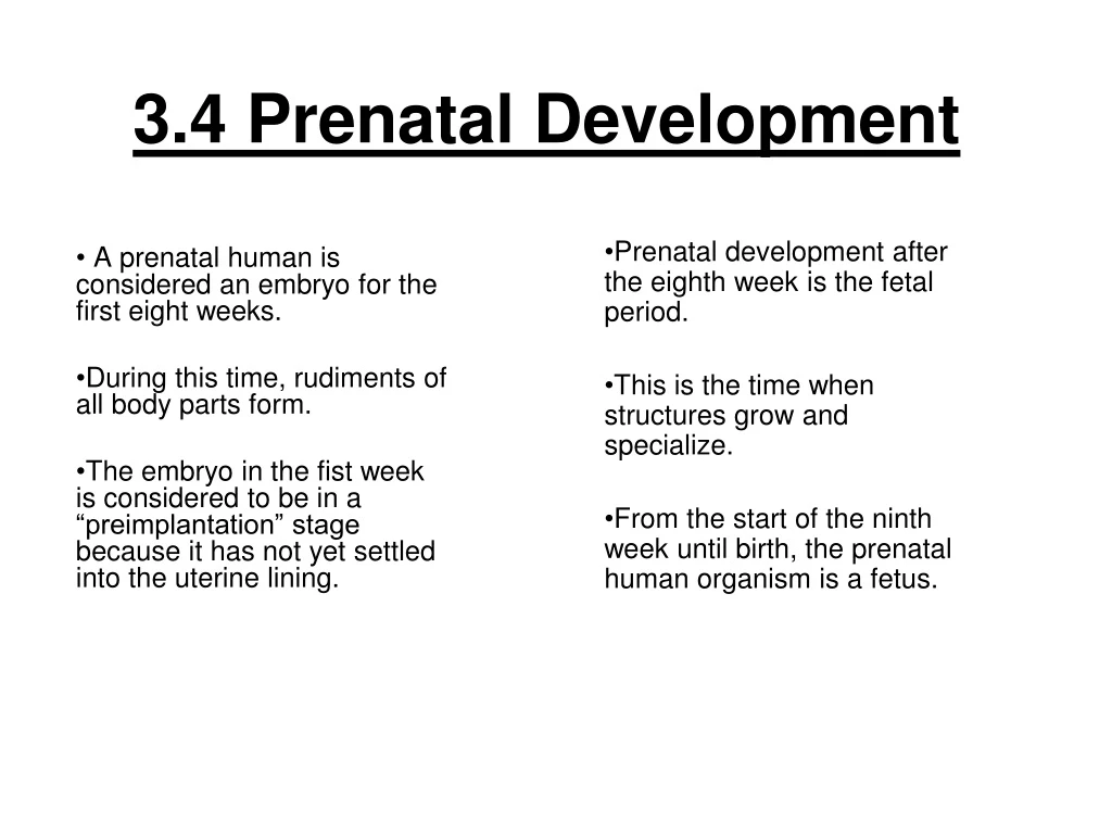 3 4 prenatal development