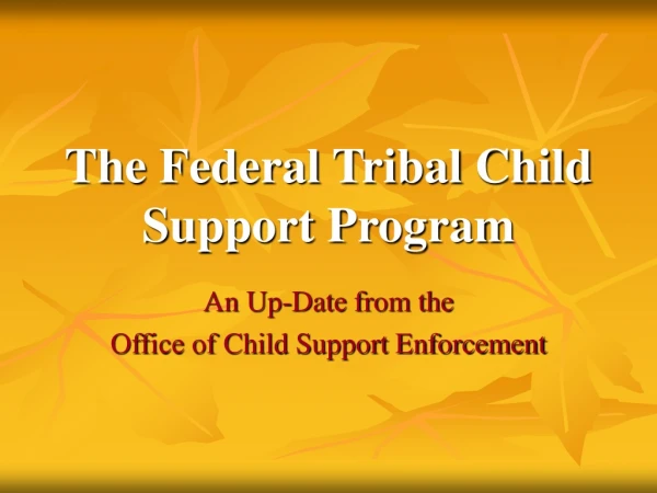 The Federal Tribal Child Support Program