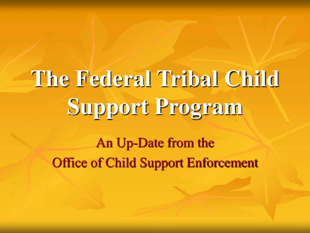 the federal tribal child support program