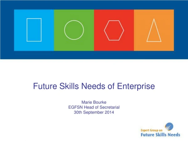 Future Skills Needs of Enterprise