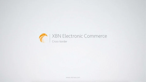 XBN Company profile