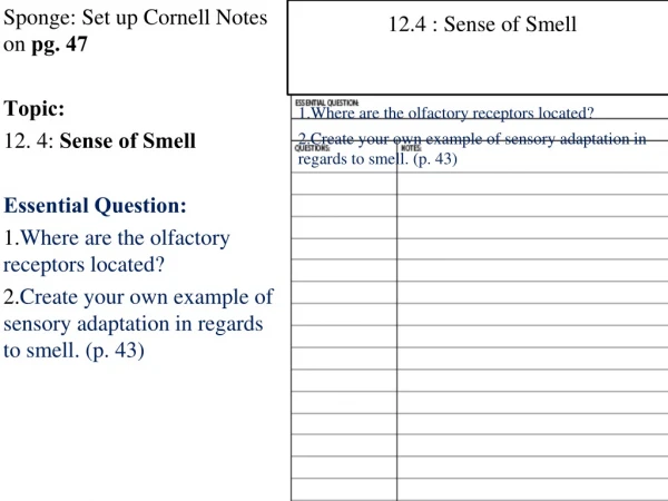Sponge: Set up Cornell Notes on  pg. 47 Topic:  12. 4:  Sense of Smell Essential Question: