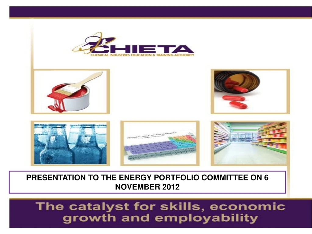 presentation to the energy portfolio committee