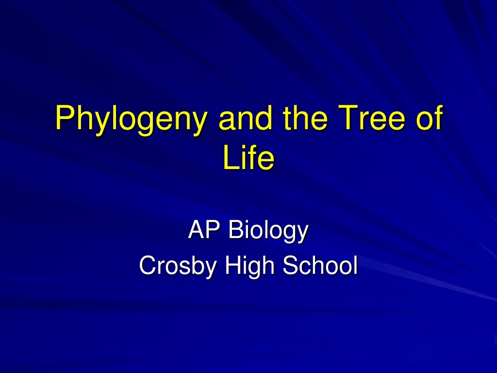 phylogeny and the tree of life