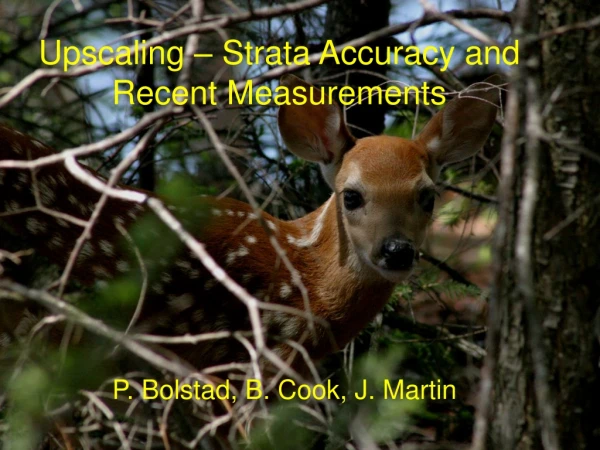 Upscaling – Strata Accuracy and Recent Measurements