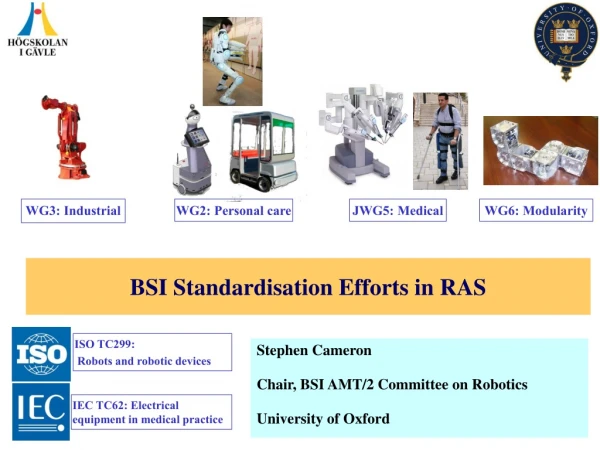 BSI Standardisation Efforts in RAS