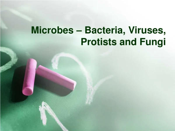 Microbes – Bacteria, Viruses, Protists and Fungi