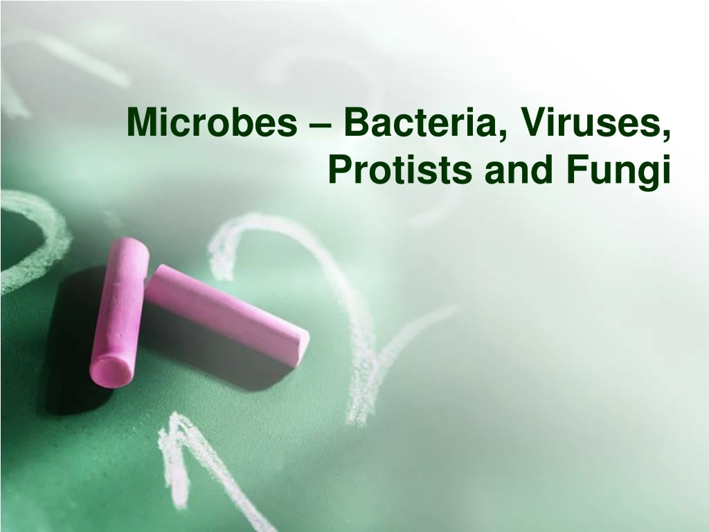 microbes bacteria viruses protists and fungi